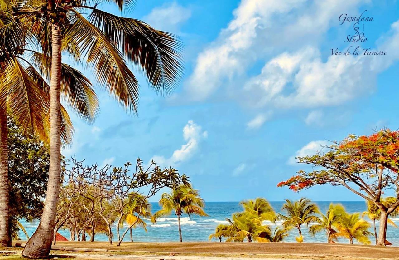 Acces Direct Plage, Vue Mer D'Exception, Les Gwada Studios, Village Vacances Sainte-Anne  Exterior photo